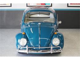 1965 Volkswagen Beetle (CC-2116712) for sale in Portland, Oregon