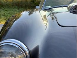 2004 Ford Shelby Cobra (CC-2116713) for sale in Orwigsburg, Pennsylvania
