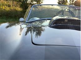 2004 Ford Shelby Cobra (CC-2116713) for sale in Orwigsburg, Pennsylvania