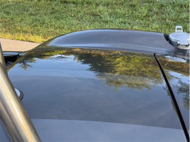 2004 Ford Shelby Cobra (CC-2116713) for sale in Orwigsburg, Pennsylvania