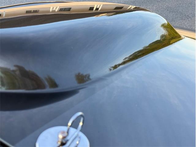 2004 Ford Shelby Cobra (CC-2116713) for sale in Orwigsburg, Pennsylvania