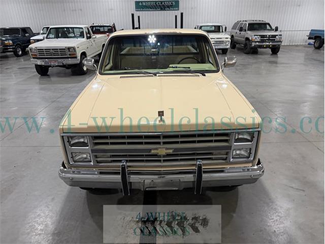 1985 Chevrolet K-10 (CC-2116717) for sale in Holland , Michigan