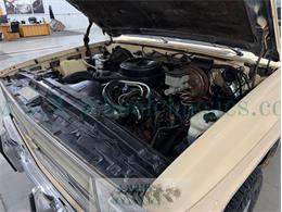 1985 Chevrolet K-10 (CC-2116717) for sale in Holland , Michigan