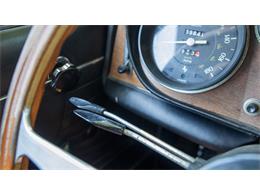 1967 Ferrari 330 GTC (CC-2116748) for sale in Stratford, Connecticut