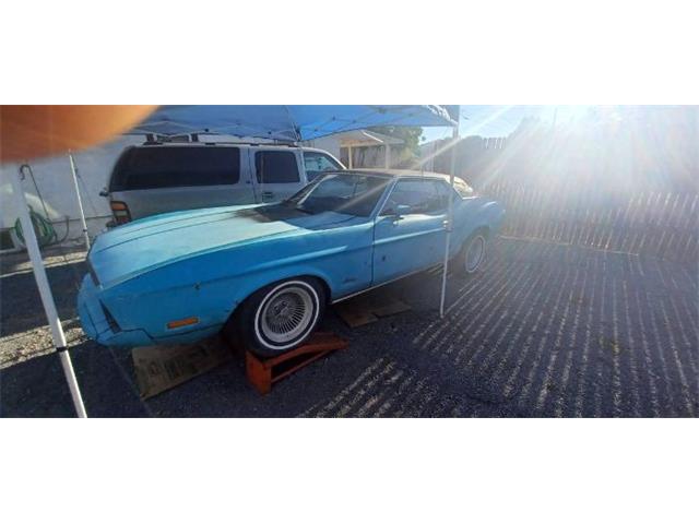 1973 Ford Mustang (CC-2110676) for sale in Cadillac, Michigan