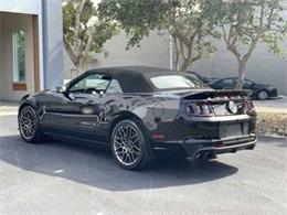 2013 Ford Mustang (CC-2110678) for sale in Cadillac, Michigan