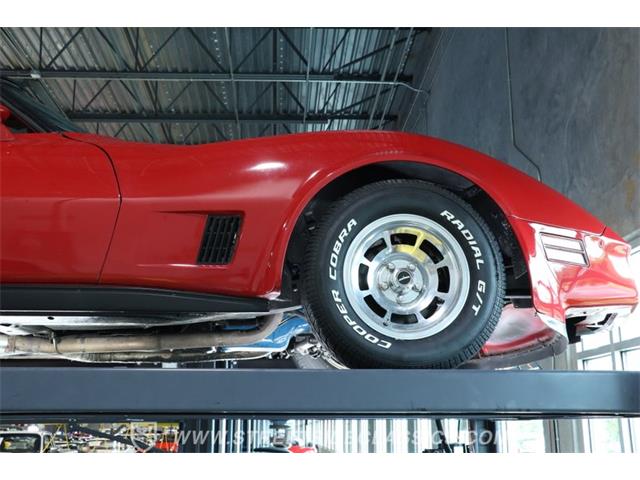 1981 Chevrolet Corvette (CC-2116803) for sale in Lutz, Florida