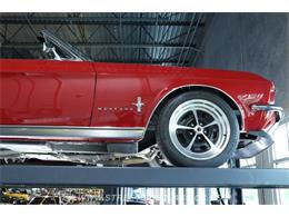 1967 Ford Mustang (CC-2116808) for sale in Lutz, Florida