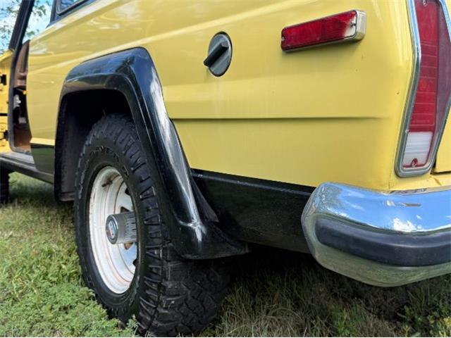 1978 Jeep Cherokee Chief (CC-2116824) for sale in Cadillac, Michigan