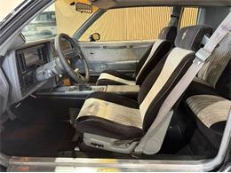 1987 Buick Grand National (CC-2116834) for sale in Cadillac, Michigan