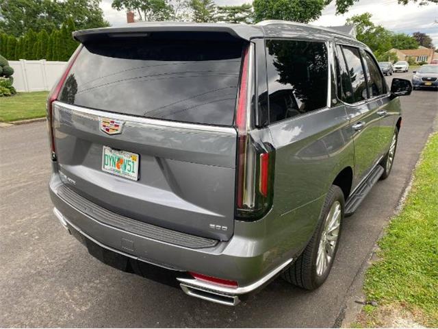 2022 Cadillac Escalade (CC-2110692) for sale in Cadillac, Michigan
