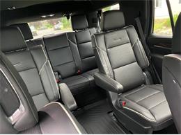 2022 Cadillac Escalade (CC-2110692) for sale in Cadillac, Michigan