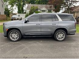 2022 Cadillac Escalade (CC-2110692) for sale in Cadillac, Michigan