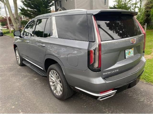 2022 Cadillac Escalade (CC-2110692) for sale in Cadillac, Michigan