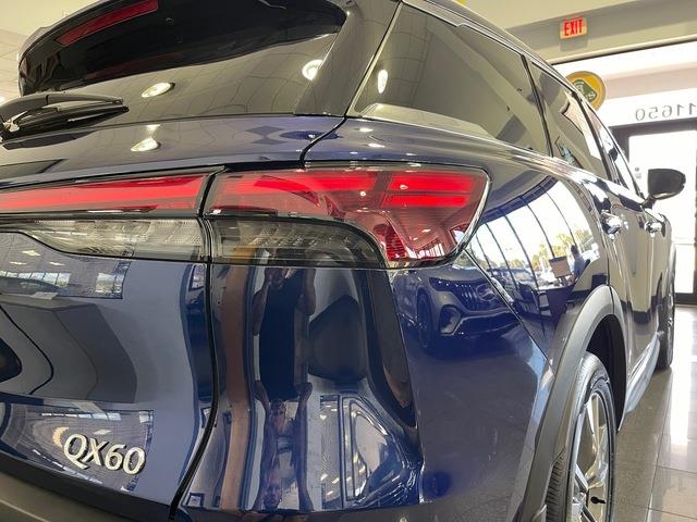 2025 Infiniti QX60 (CC-2116930) for sale in Jacksonville, Florida