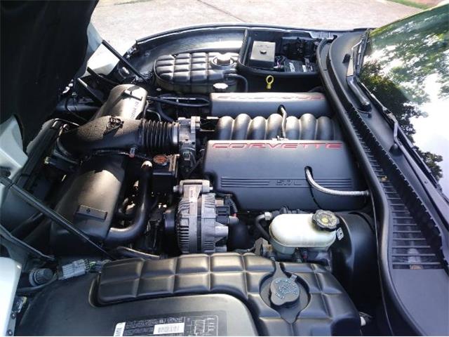 1999 Chevrolet Corvette (CC-2110696) for sale in Cadillac, Michigan