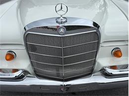 1966 Mercedes-Benz 230 (CC-2116968) for sale in West Chester, Pennsylvania