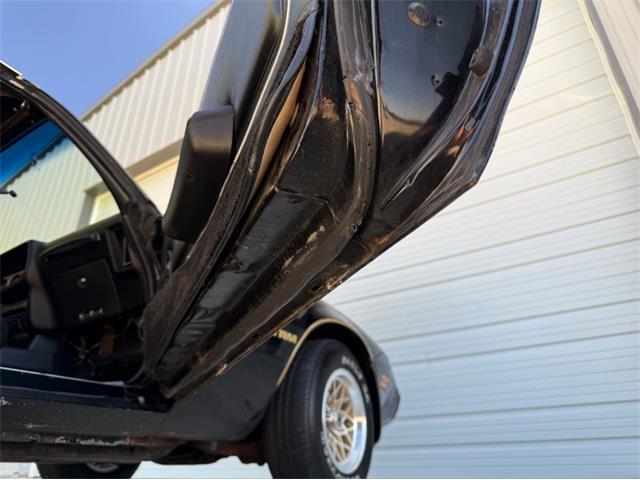 1979 Pontiac Firebird Trans Am SE (CC-2116977) for sale in Lincoln, Nebraska
