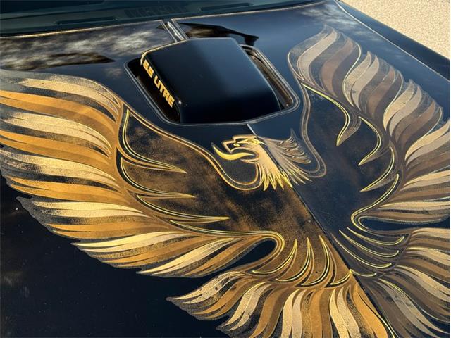1979 Pontiac Firebird Trans Am SE (CC-2116977) for sale in Lincoln, Nebraska