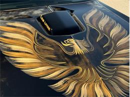 1979 Pontiac Firebird Trans Am SE (CC-2116977) for sale in Lincoln, Nebraska