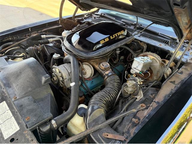 1979 Pontiac Firebird Trans Am SE (CC-2116977) for sale in Lincoln, Nebraska