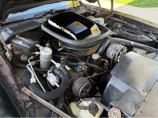 1979 Pontiac Firebird Trans Am SE (CC-2116977) for sale in Lincoln, Nebraska
