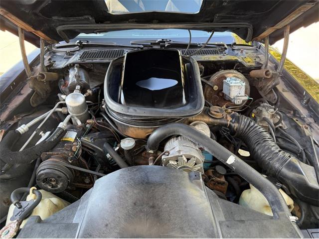 1979 Pontiac Firebird Trans Am SE (CC-2116977) for sale in Lincoln, Nebraska