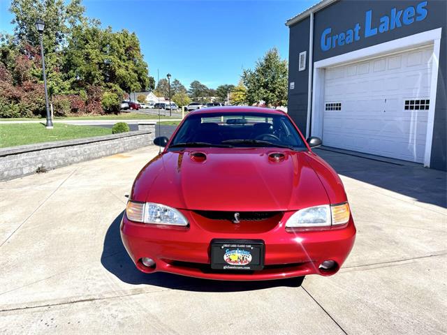 1996 Ford Mustang SVT Cobra (CC-2116981) for sale in Hilton, New York