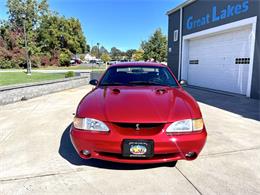 1996 Ford Mustang SVT Cobra (CC-2116981) for sale in Hilton, New York