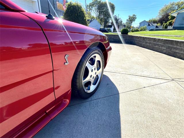 1996 Ford Mustang SVT Cobra (CC-2116981) for sale in Hilton, New York