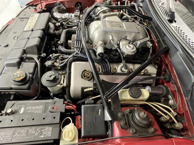 1996 Ford Mustang SVT Cobra (CC-2116981) for sale in Hilton, New York