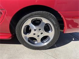 1996 Ford Mustang SVT Cobra (CC-2116981) for sale in Hilton, New York