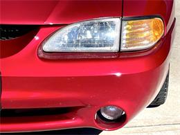 1996 Ford Mustang SVT Cobra (CC-2116981) for sale in Hilton, New York