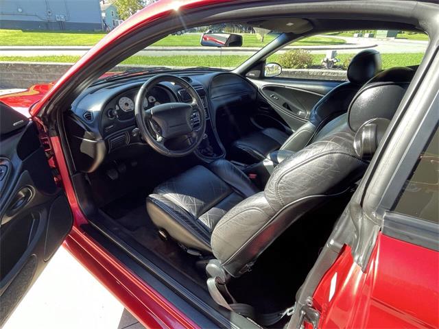 1996 Ford Mustang SVT Cobra (CC-2116981) for sale in Hilton, New York