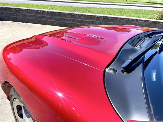 1996 Ford Mustang SVT Cobra (CC-2116981) for sale in Hilton, New York