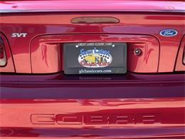 1996 Ford Mustang SVT Cobra (CC-2116981) for sale in Hilton, New York