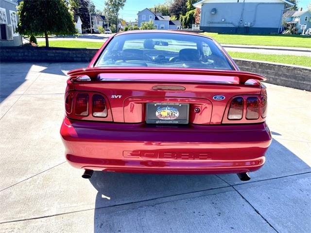 1996 Ford Mustang SVT Cobra (CC-2116981) for sale in Hilton, New York