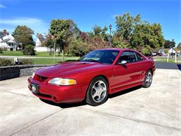 1996 Ford Mustang SVT Cobra (CC-2116981) for sale in Hilton, New York