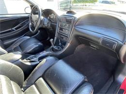 1996 Ford Mustang SVT Cobra (CC-2116981) for sale in Hilton, New York