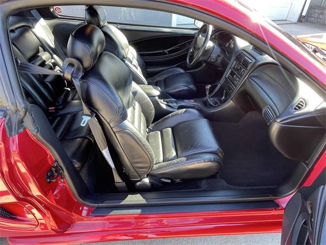 1996 Ford Mustang SVT Cobra (CC-2116981) for sale in Hilton, New York