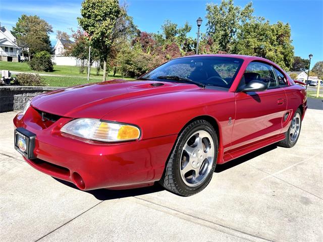 1996 Ford Mustang SVT Cobra (CC-2116981) for sale in Hilton, New York