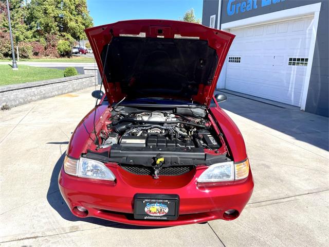 1996 Ford Mustang SVT Cobra (CC-2116981) for sale in Hilton, New York