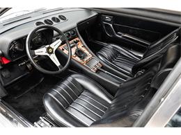 1973 Ferrari 365 (CC-2117051) for sale in Houston, Texas
