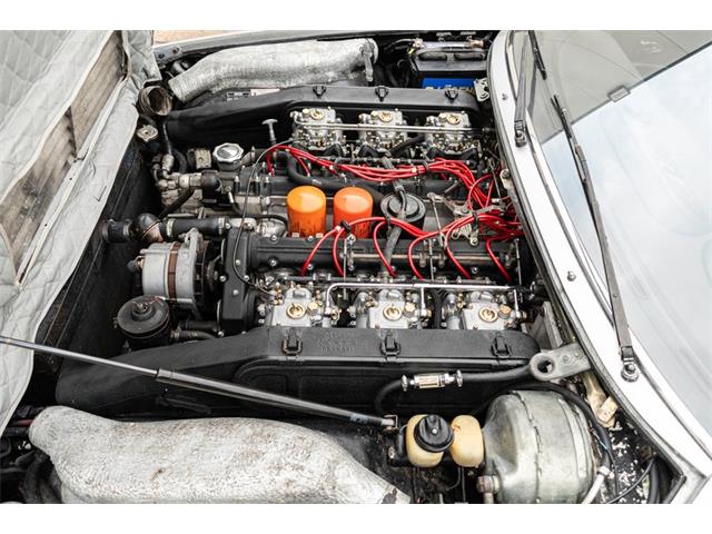 1973 Ferrari 365 (CC-2117051) for sale in Houston, Texas