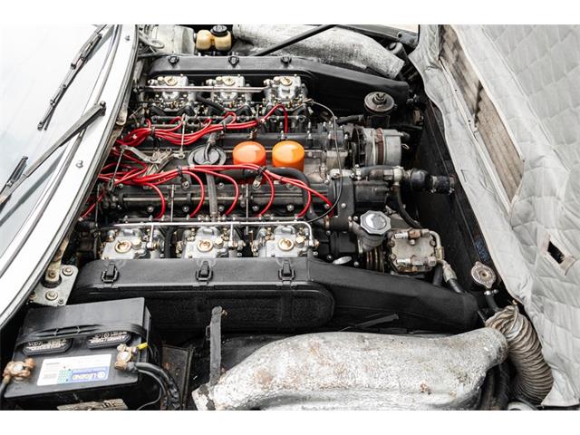 1973 Ferrari 365 (CC-2117051) for sale in Houston, Texas