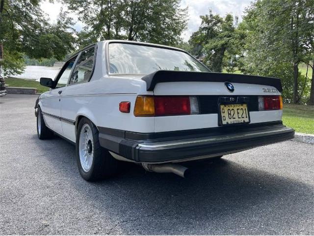 1982 BMW 3 Series (CC-2110706) for sale in Cadillac, Michigan