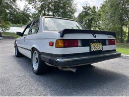 1982 BMW 3 Series (CC-2110706) for sale in Cadillac, Michigan