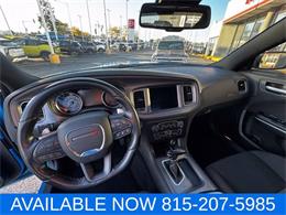 2023 Dodge Charger (CC-2117078) for sale in Joliet, Illinois