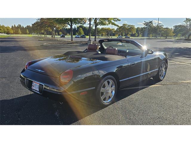 2003 Ford Thunderbird (CC-2117103) for sale in Maumee, Ohio