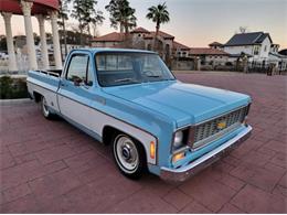 1975 Chevrolet C10 (CC-2110717) for sale in Cadillac, Michigan